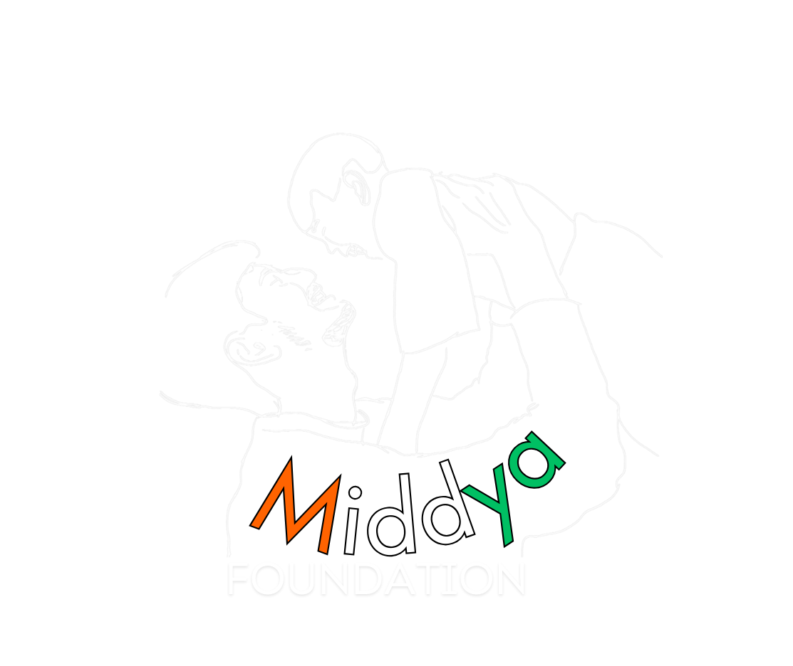 middyafoundation.com